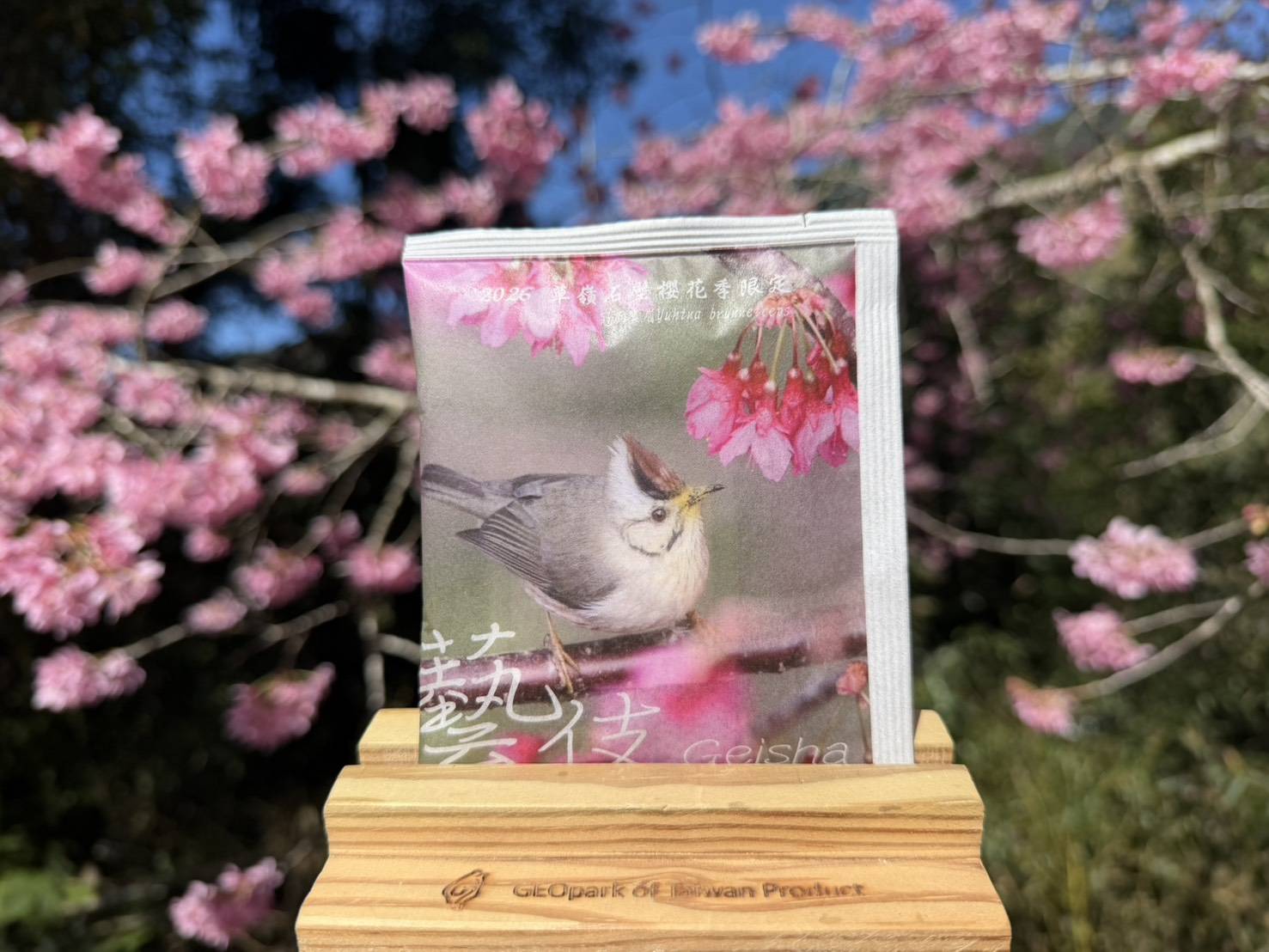 2026櫻花季限定藝伎 10g*3盒(15pcs) 2026櫻花季限定藝伎 10g*3盒(15pcs)